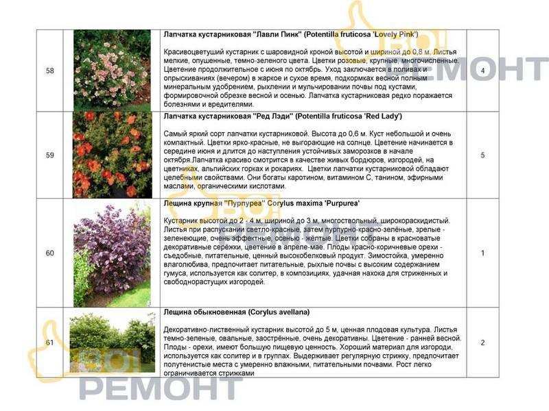 Проект благоустройства территории-102
